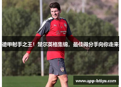 德甲射手之王！楚尔英格集锦，最佳得分手向你走来
