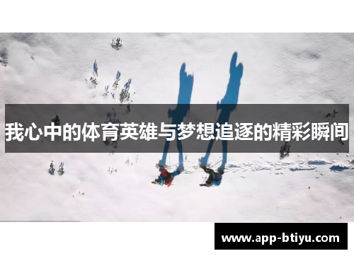 我心中的体育英雄与梦想追逐的精彩瞬间